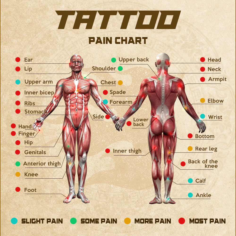 Thợ xăm giải thích bảng đau cho khách hàng