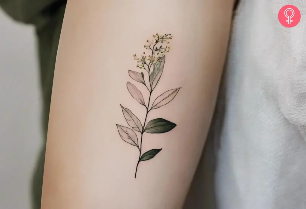 Applying aftercare ointment on a new fine line botanical tattoo.